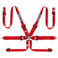 Sparco 6 Point HANS Compliant Harness