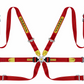 Sabelt Enduro Full 2" 6 Point Harness