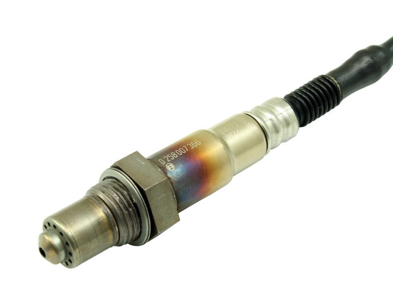 AEM Bosch LSU 4.2 Wideband UEGO Replacement Sensor