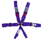 Crow Kam Lock Standard 6 Point Clip In Harness